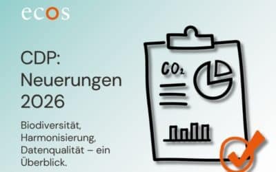 CDP 2026: Key Updates and How Your Company Can Benefit