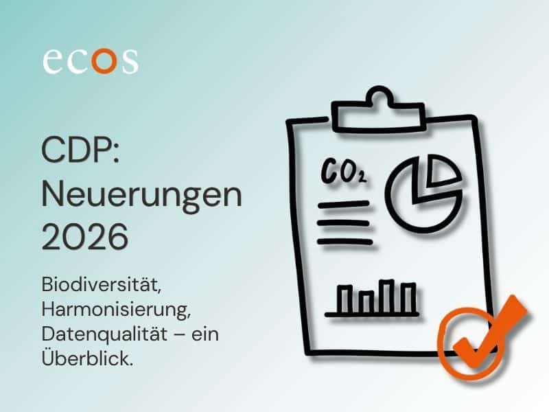 CDP 2026: Die wichtigsten Neuerungen und wie Ihr Unternehmen profitiert