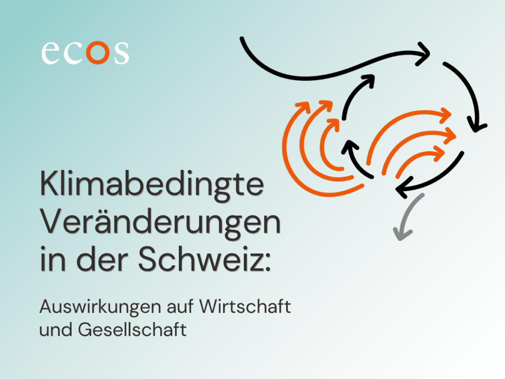 Klimabedingte Veränderungen in der Schweiz: Auswirkungen auf Wirtschaft und Gesellschaft